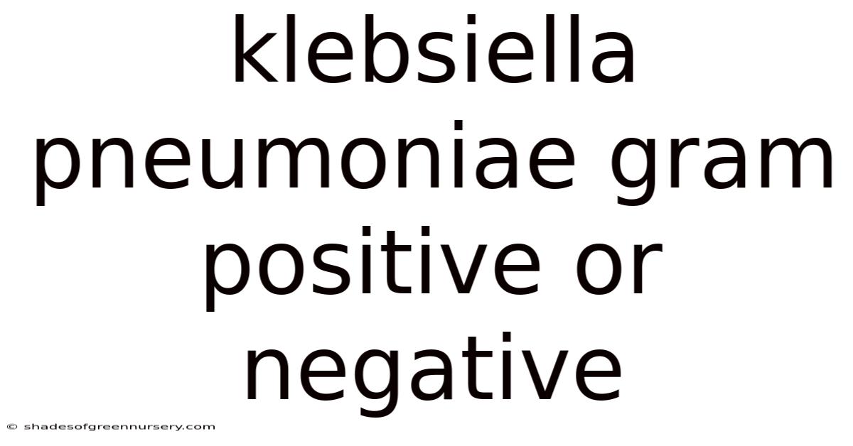 Klebsiella Pneumoniae Gram Positive Or Negative