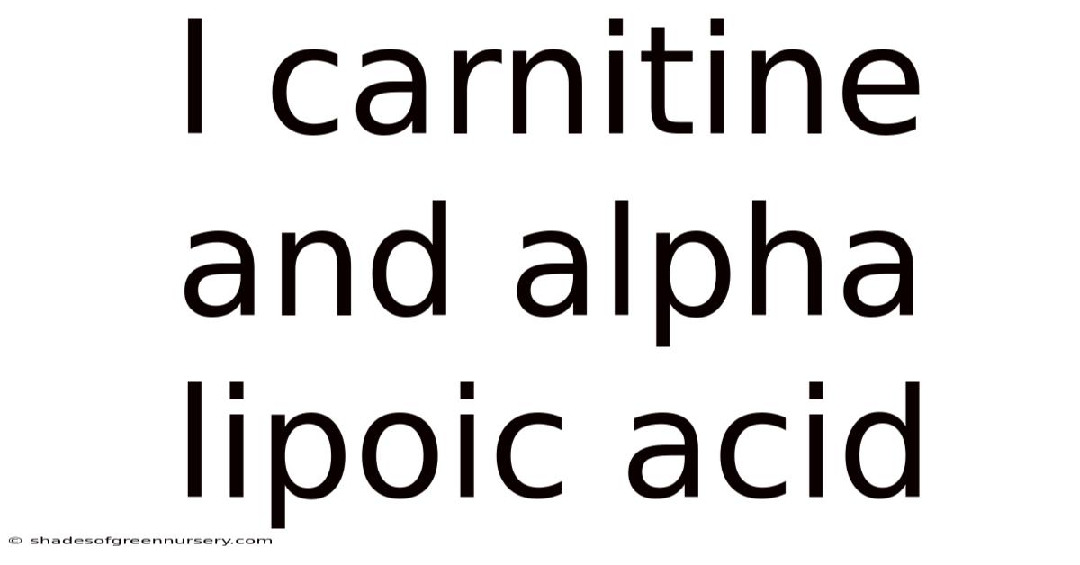 L Carnitine And Alpha Lipoic Acid