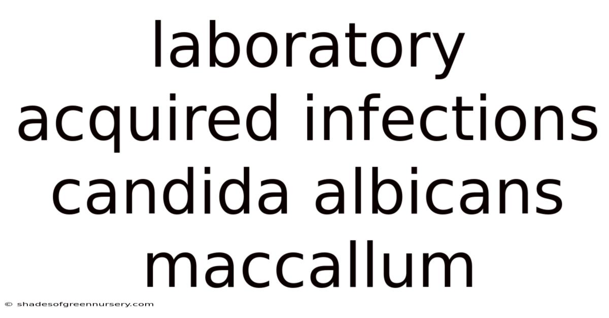 Laboratory Acquired Infections Candida Albicans Maccallum