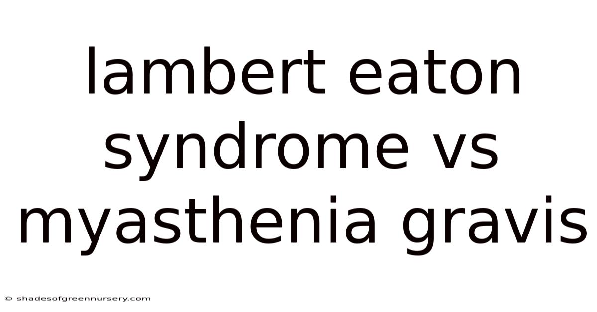 Lambert Eaton Syndrome Vs Myasthenia Gravis