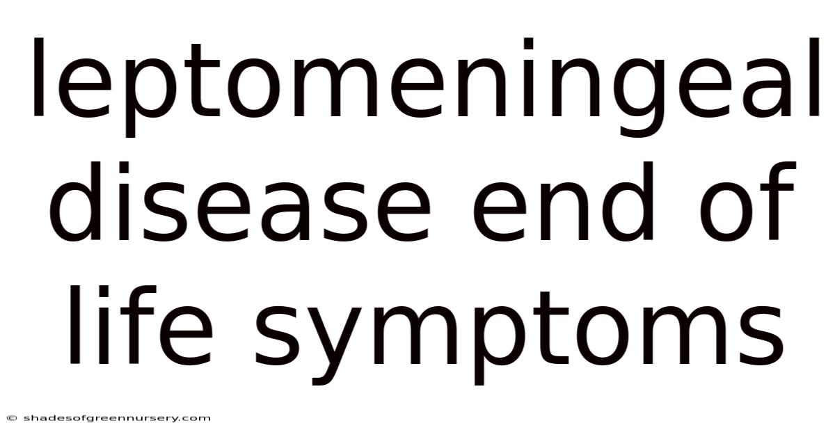 Leptomeningeal Disease End Of Life Symptoms