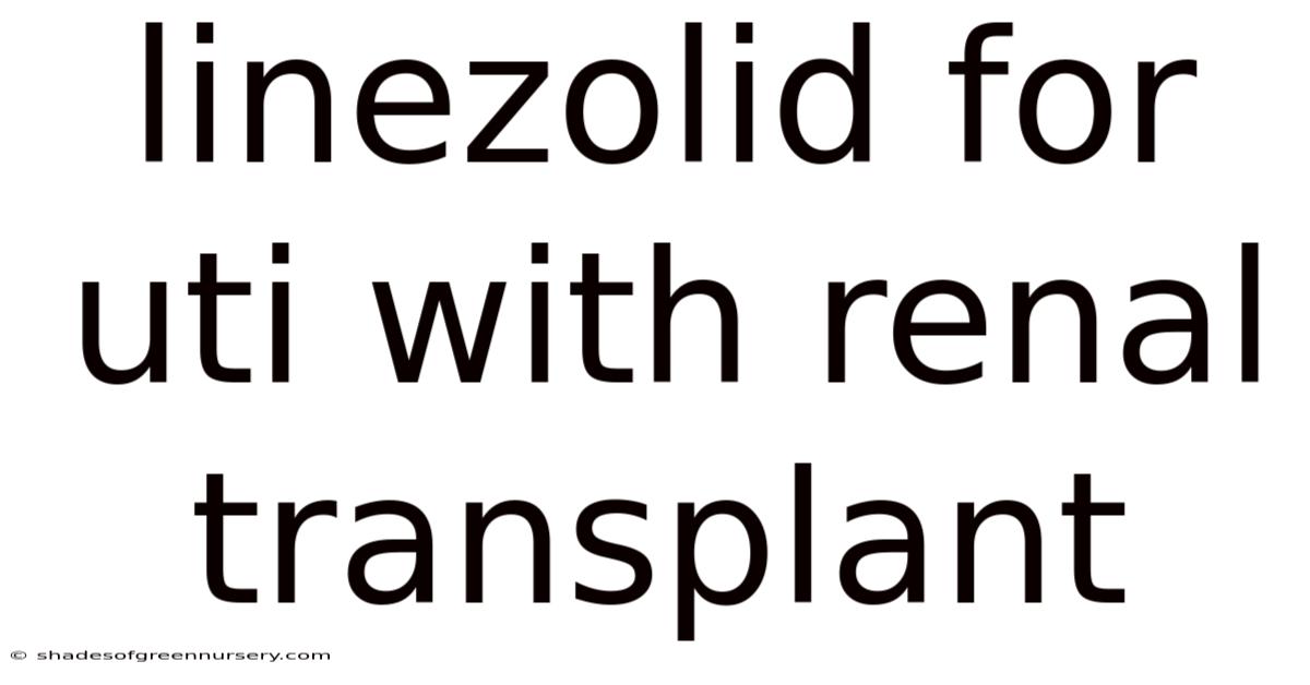 Linezolid For Uti With Renal Transplant