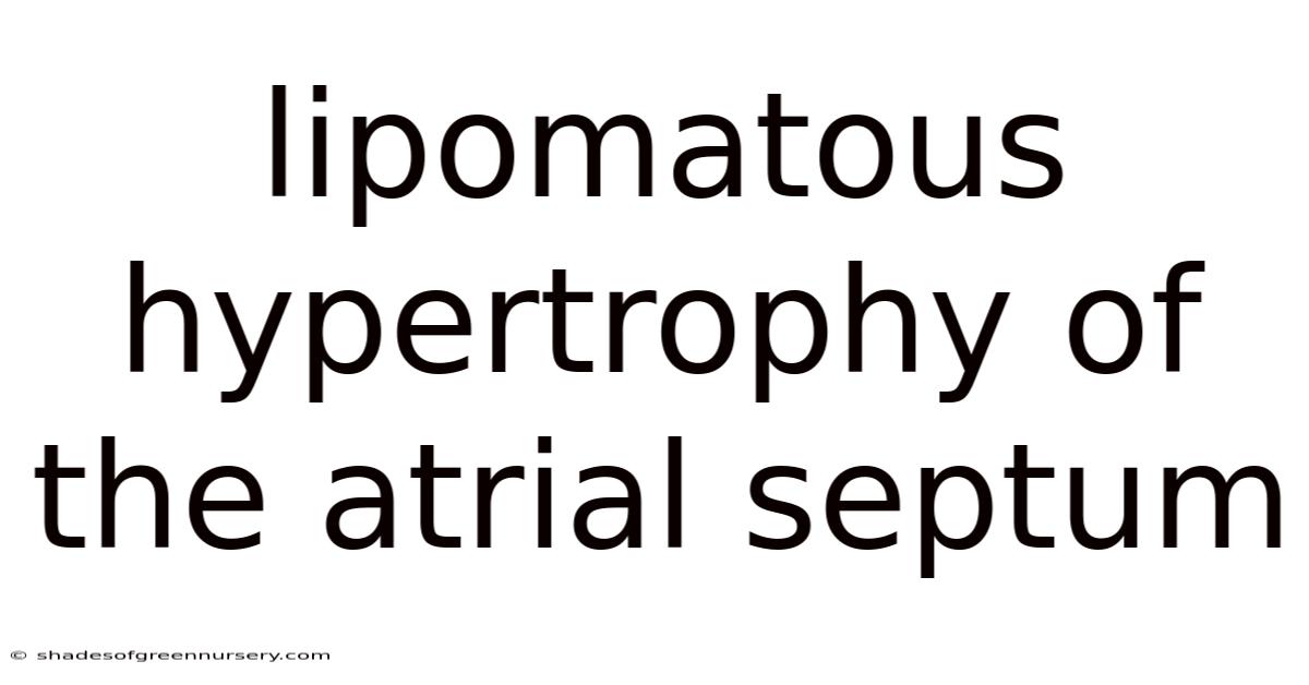 Lipomatous Hypertrophy Of The Atrial Septum