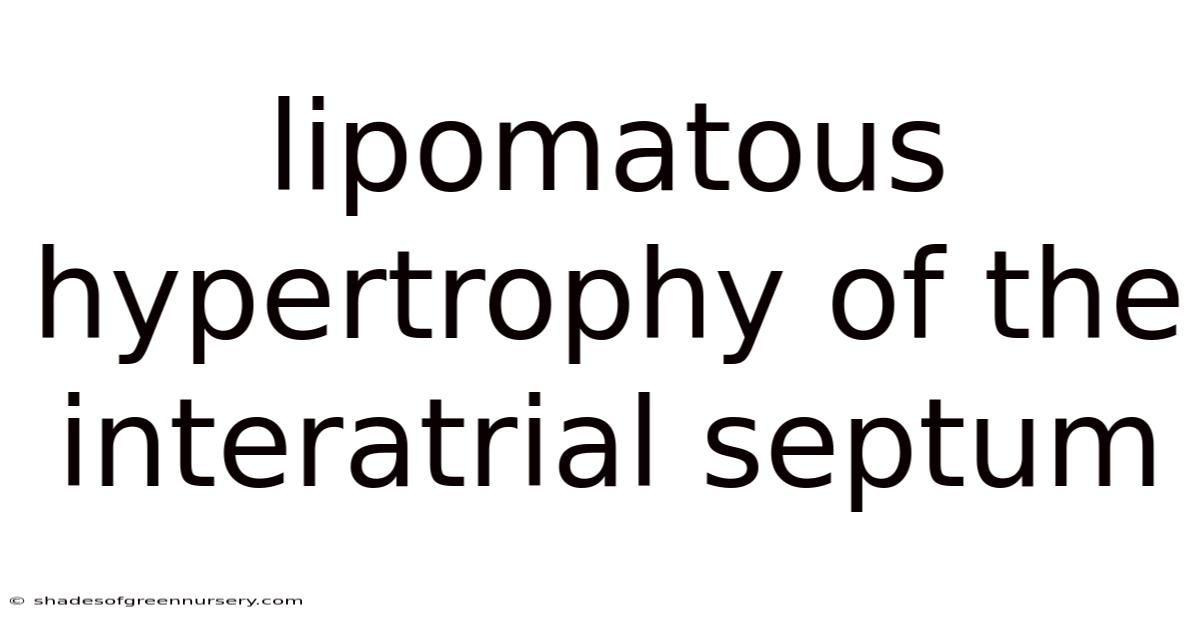 Lipomatous Hypertrophy Of The Interatrial Septum