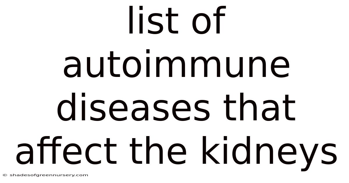 List Of Autoimmune Diseases That Affect The Kidneys