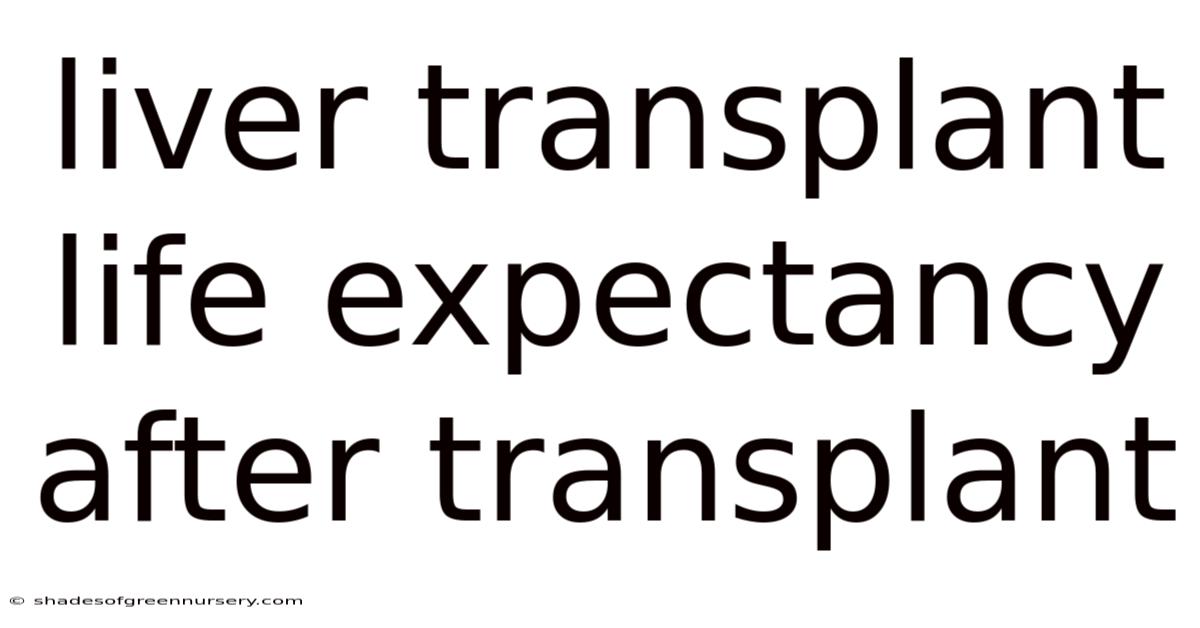 Liver Transplant Life Expectancy After Transplant