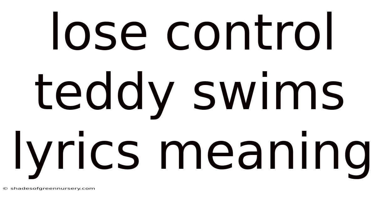 Lose Control Teddy Swims Lyrics Meaning