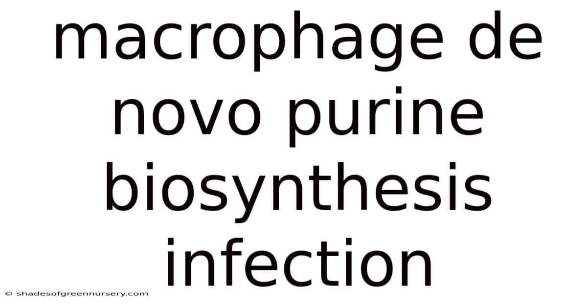 Macrophage De Novo Purine Biosynthesis Infection