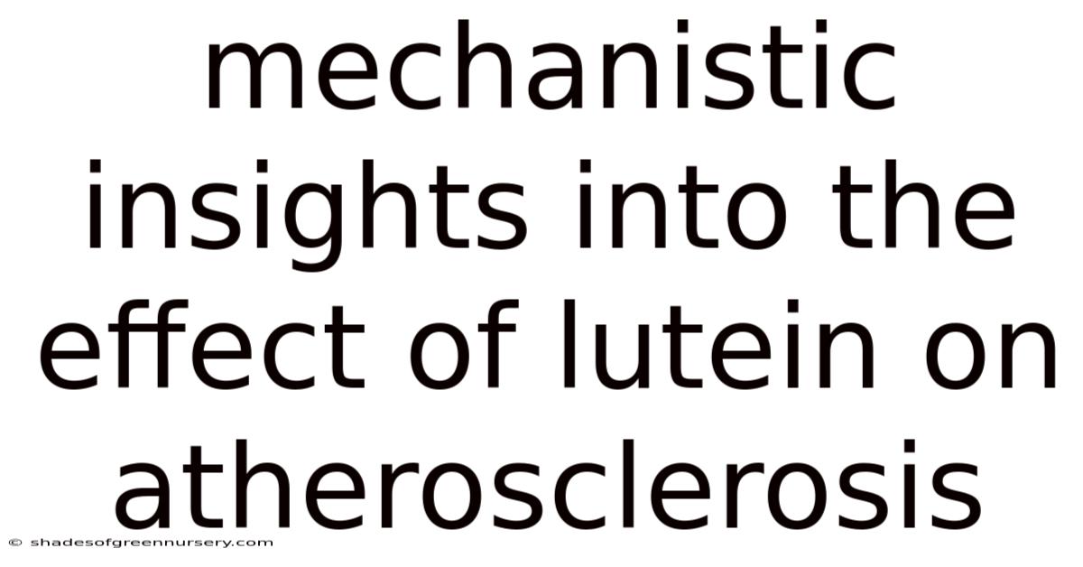 Mechanistic Insights Into The Effect Of Lutein On Atherosclerosis