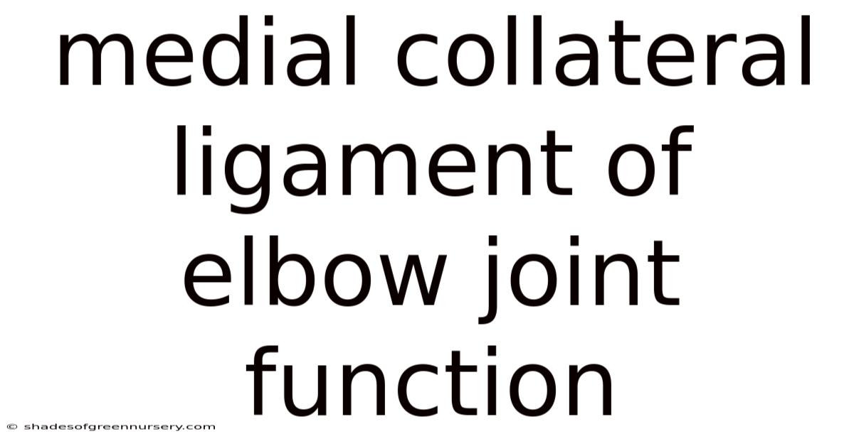 Medial Collateral Ligament Of Elbow Joint Function