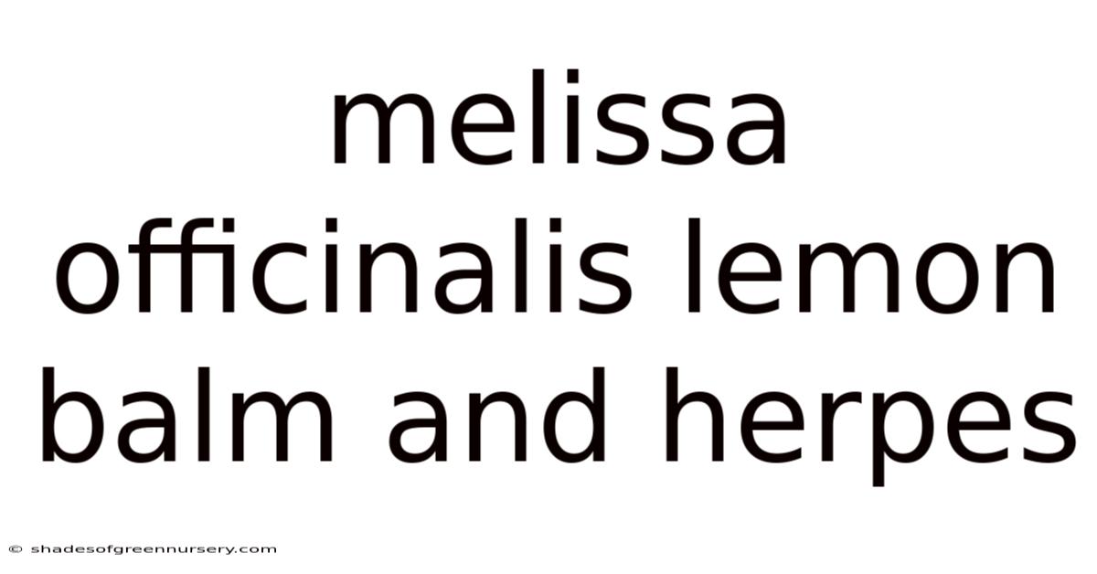 Melissa Officinalis Lemon Balm And Herpes