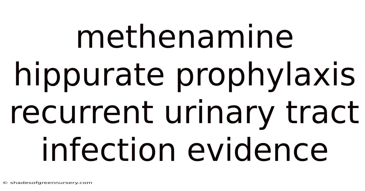 Methenamine Hippurate Prophylaxis Recurrent Urinary Tract Infection Evidence