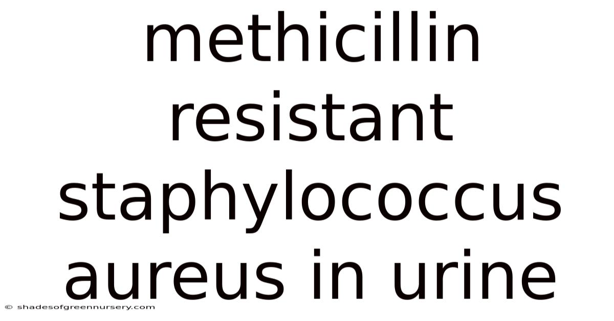 Methicillin Resistant Staphylococcus Aureus In Urine