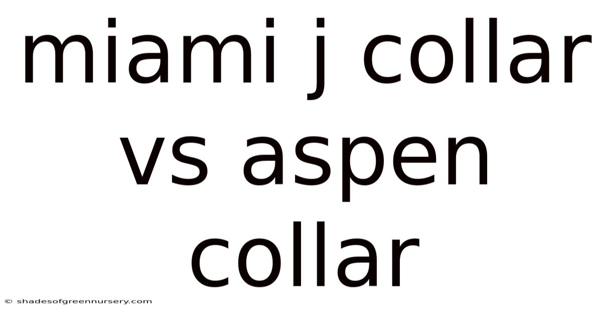 Miami J Collar Vs Aspen Collar