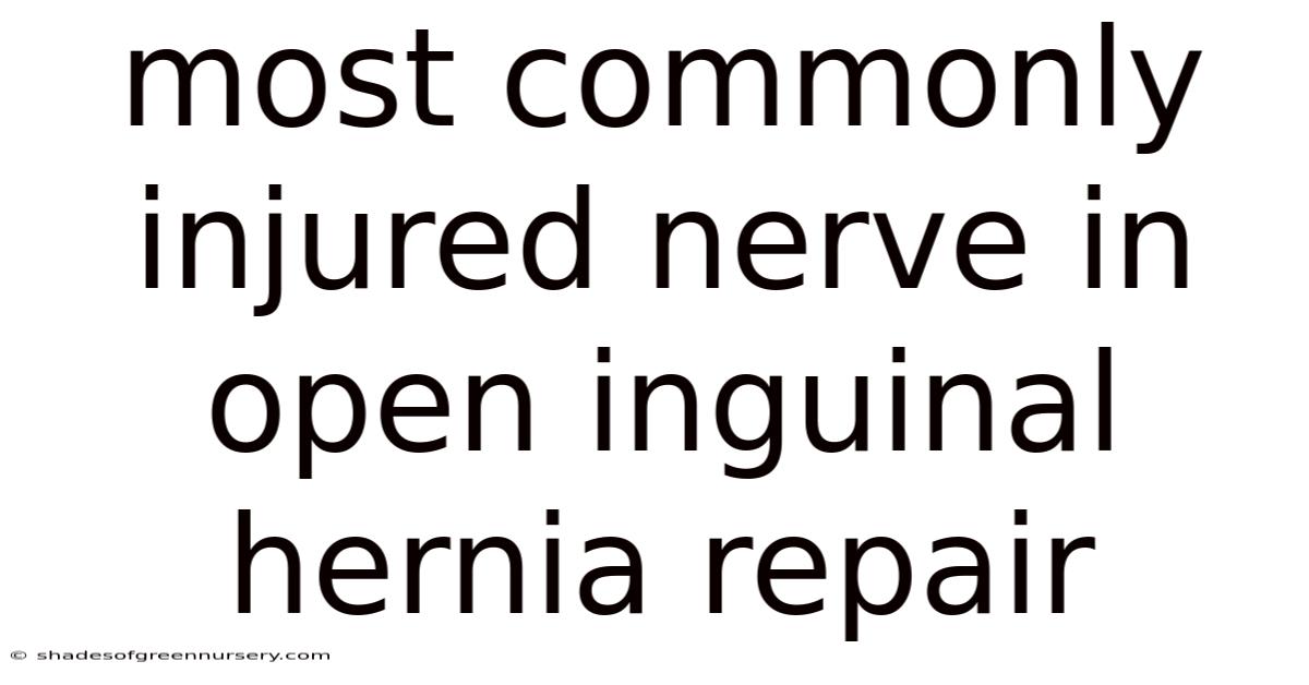 Most Commonly Injured Nerve In Open Inguinal Hernia Repair