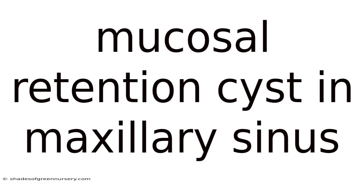 Mucosal Retention Cyst In Maxillary Sinus