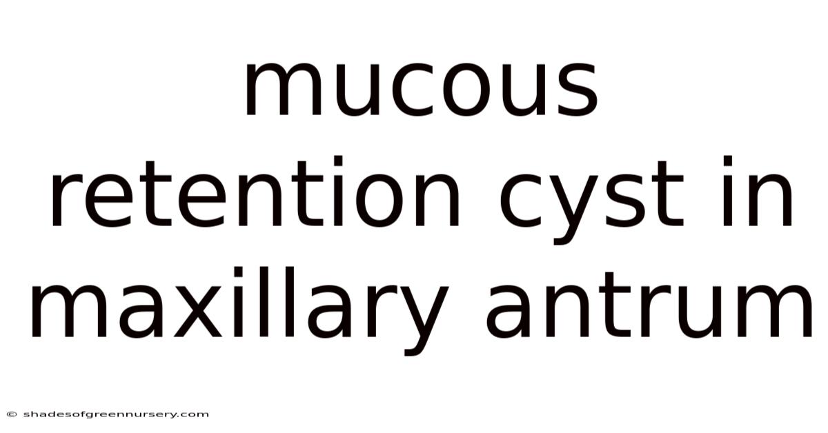 Mucous Retention Cyst In Maxillary Antrum