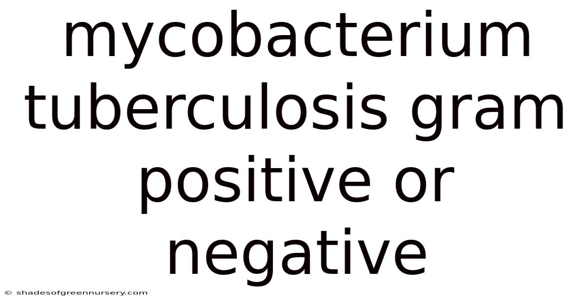 Mycobacterium Tuberculosis Gram Positive Or Negative