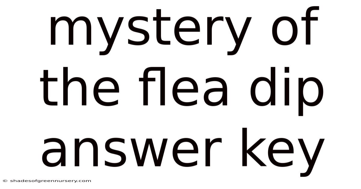 Mystery Of The Flea Dip Answer Key