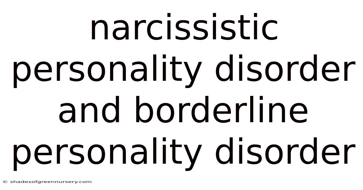 Narcissistic Personality Disorder And Borderline Personality Disorder