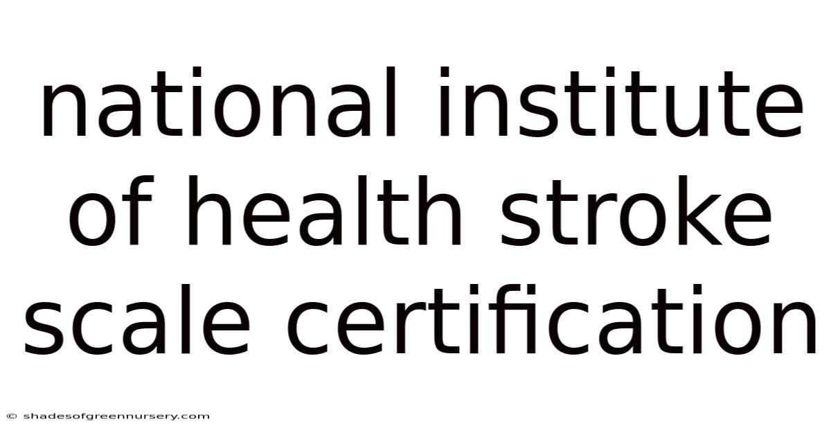 National Institute Of Health Stroke Scale Certification