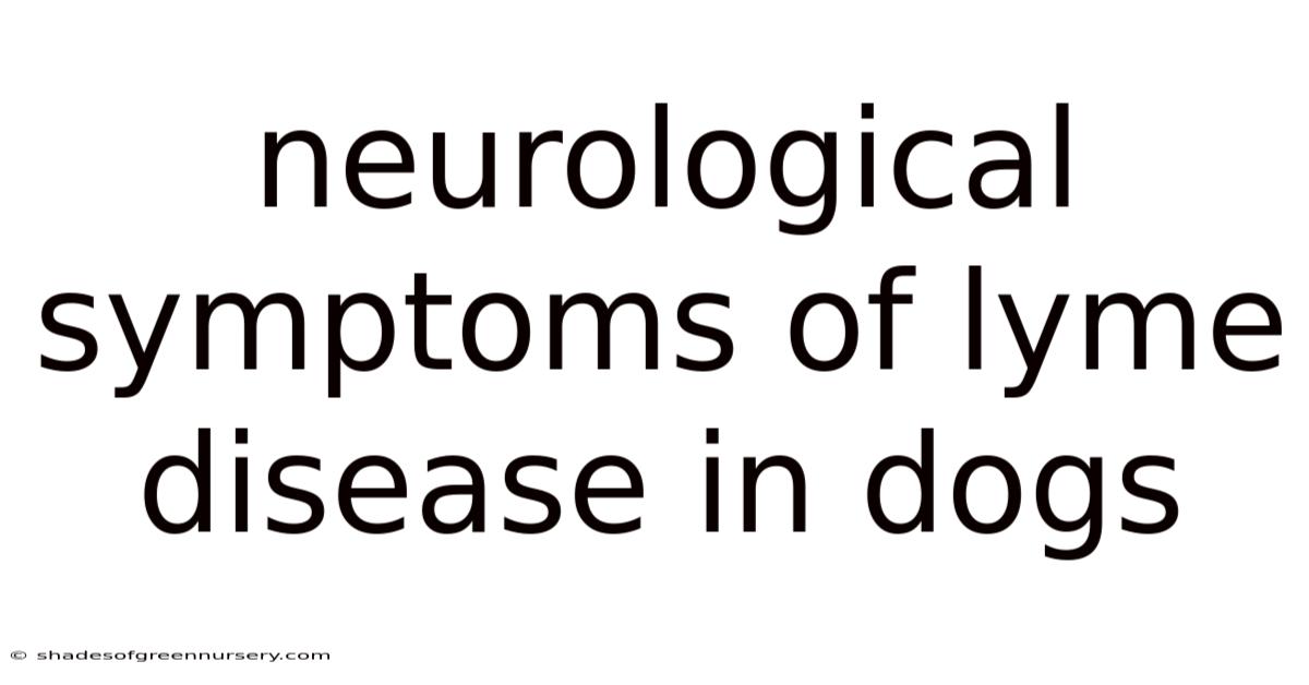 Neurological Symptoms Of Lyme Disease In Dogs