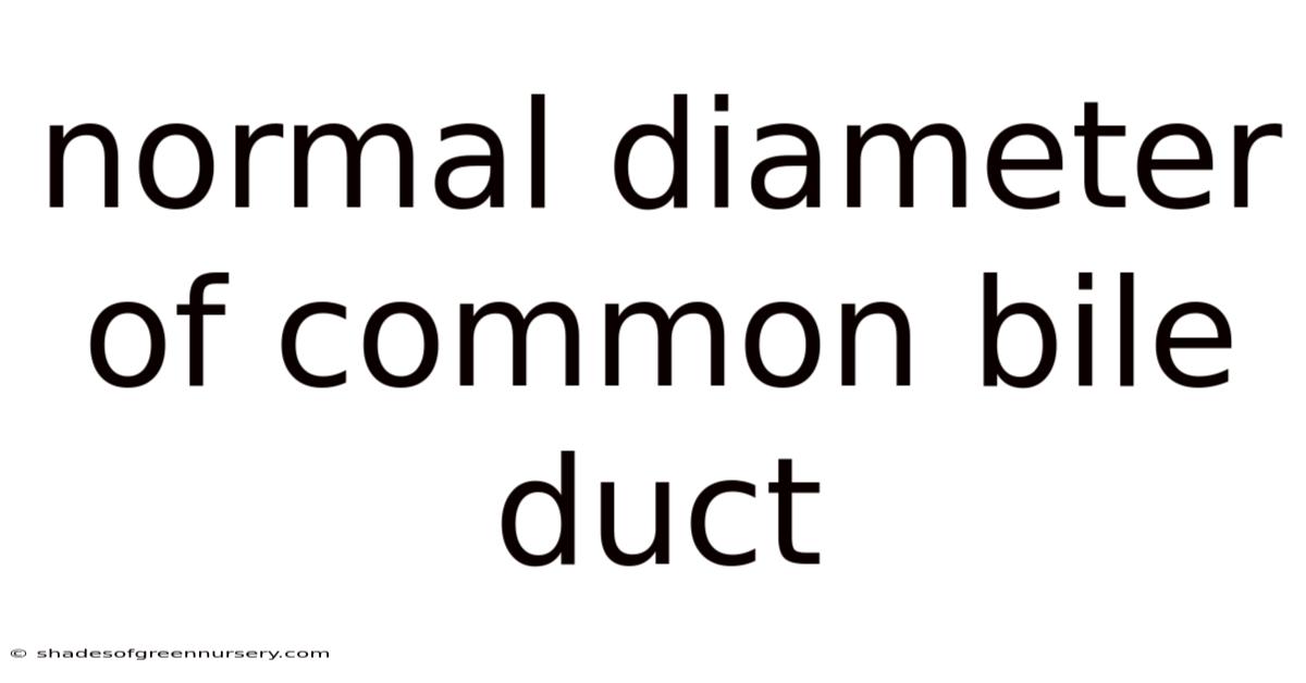 Normal Diameter Of Common Bile Duct