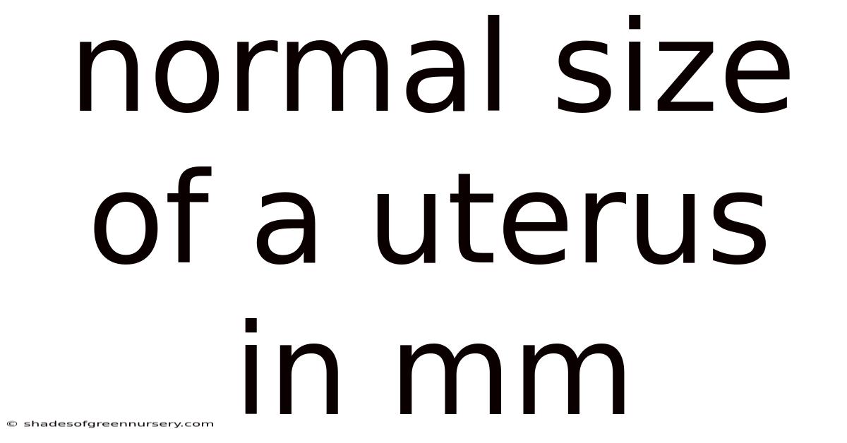 Normal Size Of A Uterus In Mm