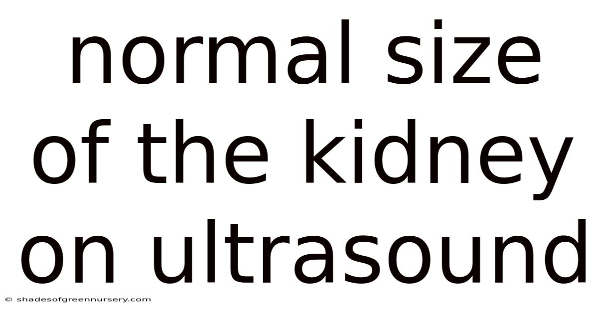 Normal Size Of The Kidney On Ultrasound