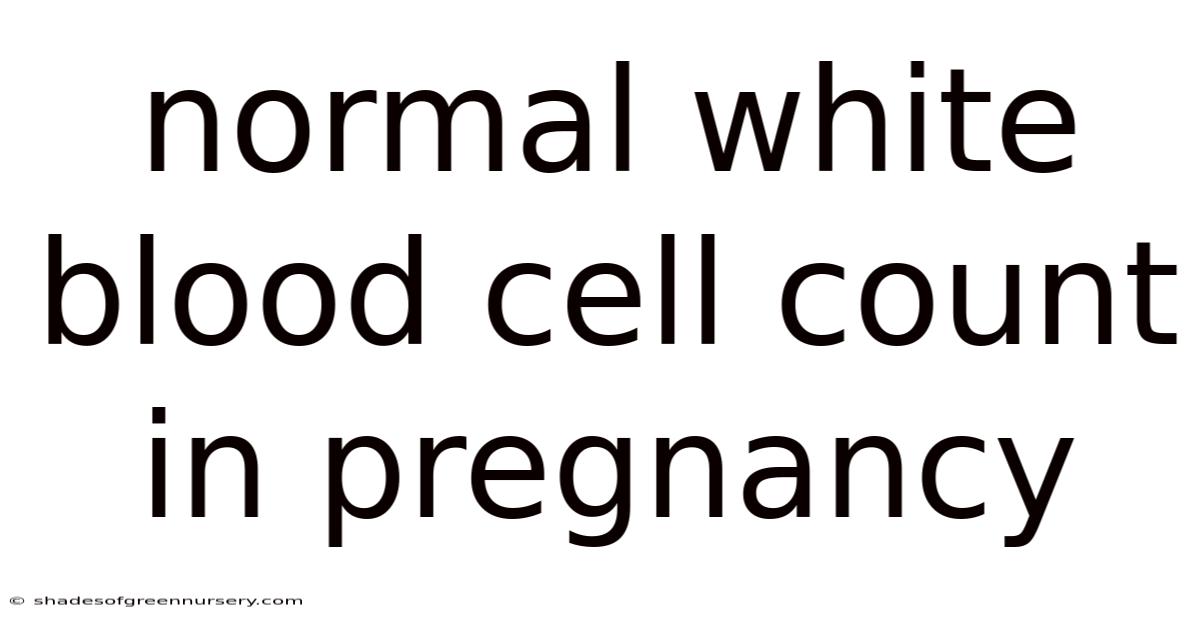 Normal White Blood Cell Count In Pregnancy