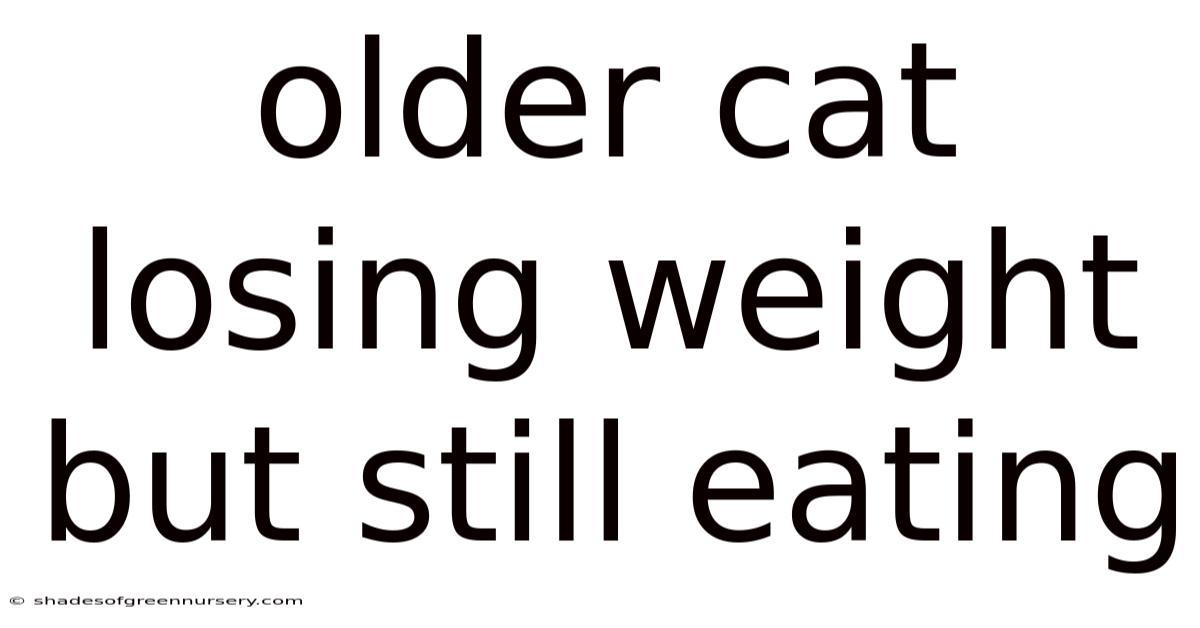 Older Cat Losing Weight But Still Eating