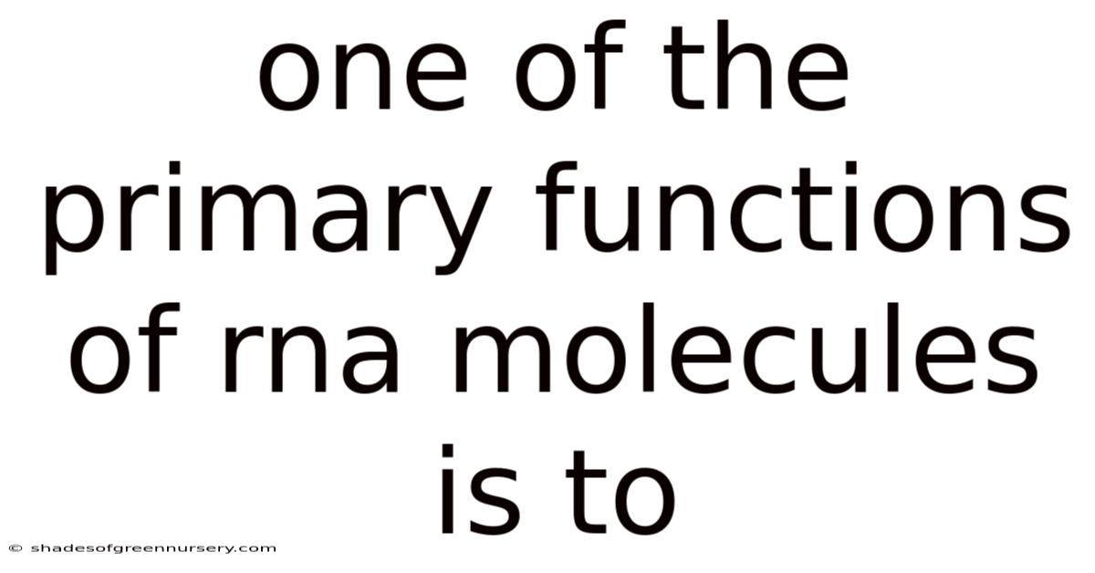 One Of The Primary Functions Of Rna Molecules Is To