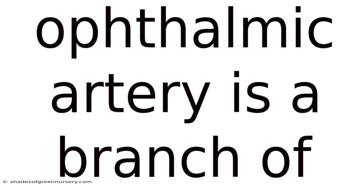 Ophthalmic Artery Is A Branch Of