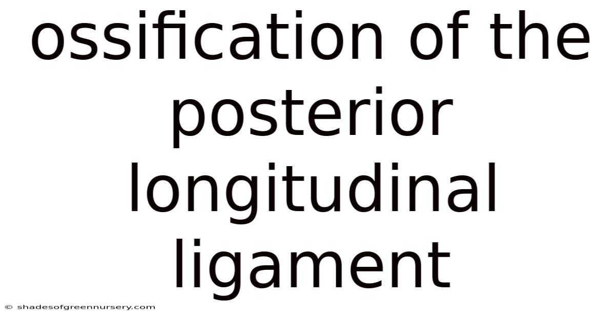 Ossification Of The Posterior Longitudinal Ligament