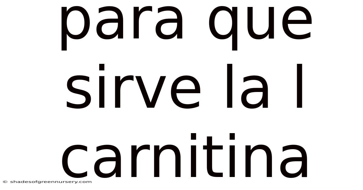 Para Que Sirve La L Carnitina