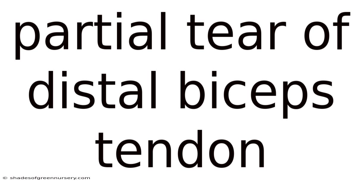 Partial Tear Of Distal Biceps Tendon