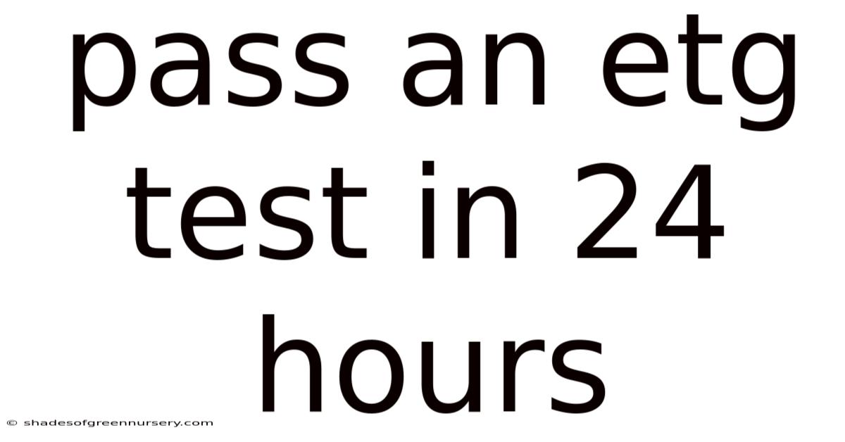 Pass An Etg Test In 24 Hours