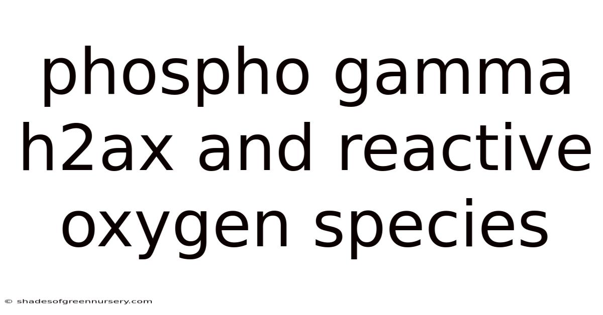 Phospho Gamma H2ax And Reactive Oxygen Species