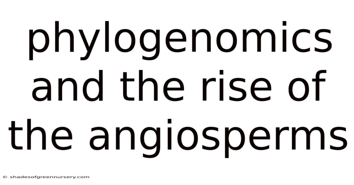 Phylogenomics And The Rise Of The Angiosperms