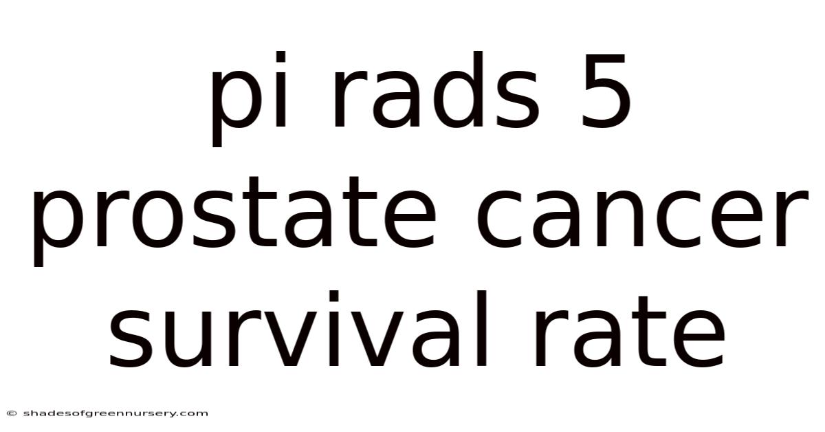 Pi Rads 5 Prostate Cancer Survival Rate
