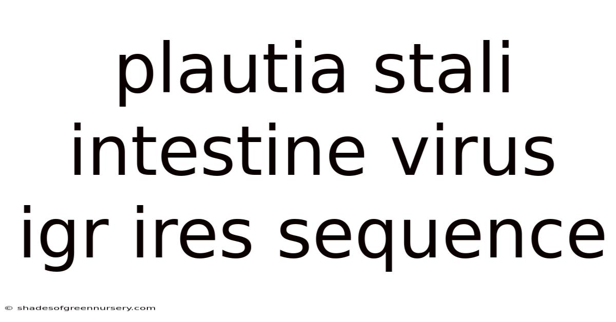 Plautia Stali Intestine Virus Igr Ires Sequence