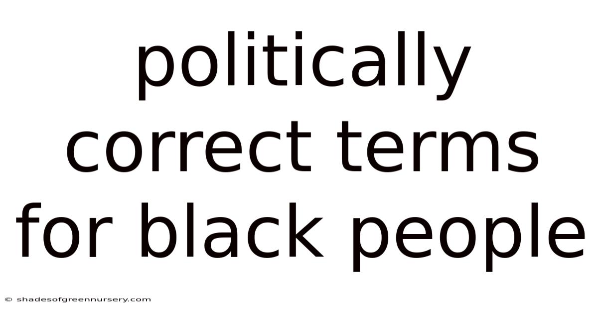 Politically Correct Terms For Black People