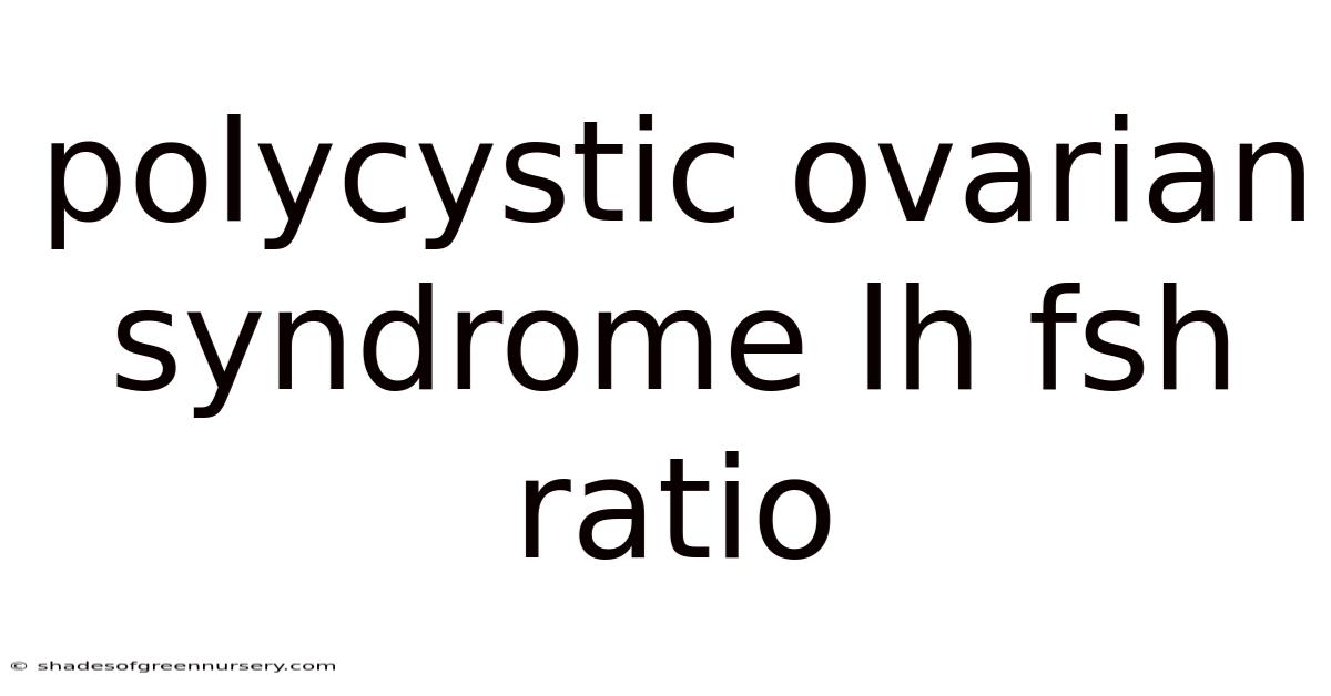 Polycystic Ovarian Syndrome Lh Fsh Ratio
