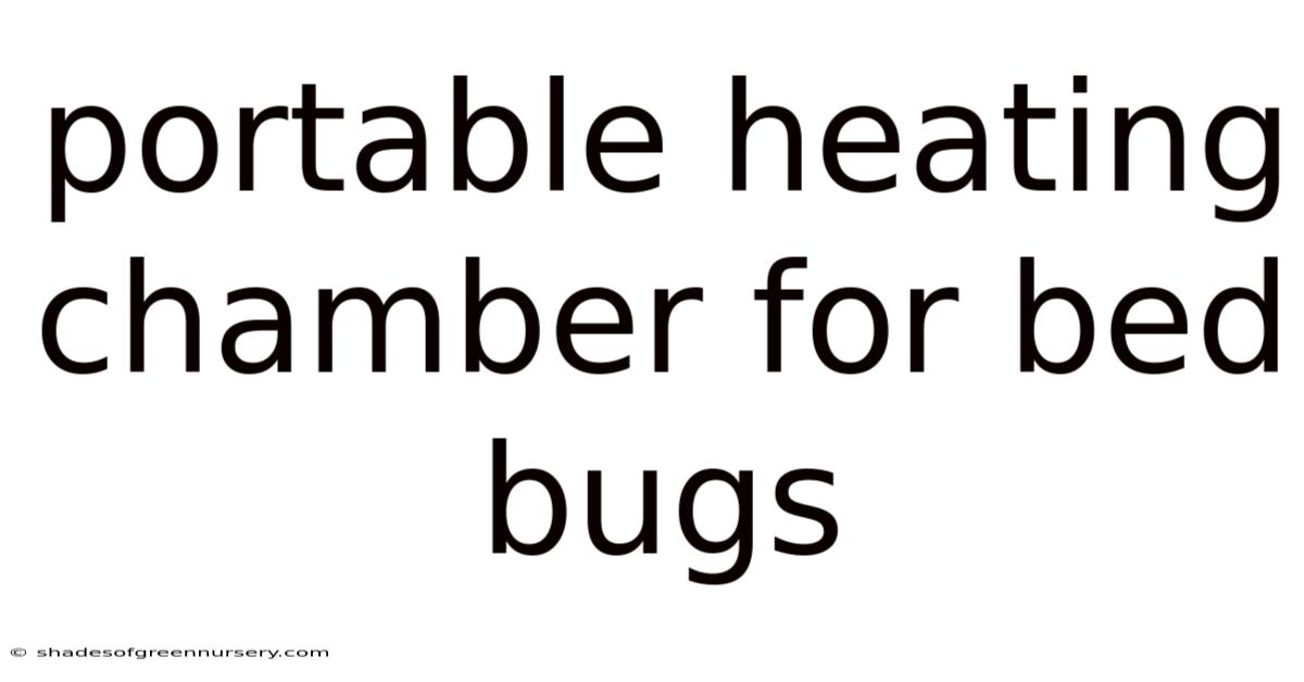 Portable Heating Chamber For Bed Bugs