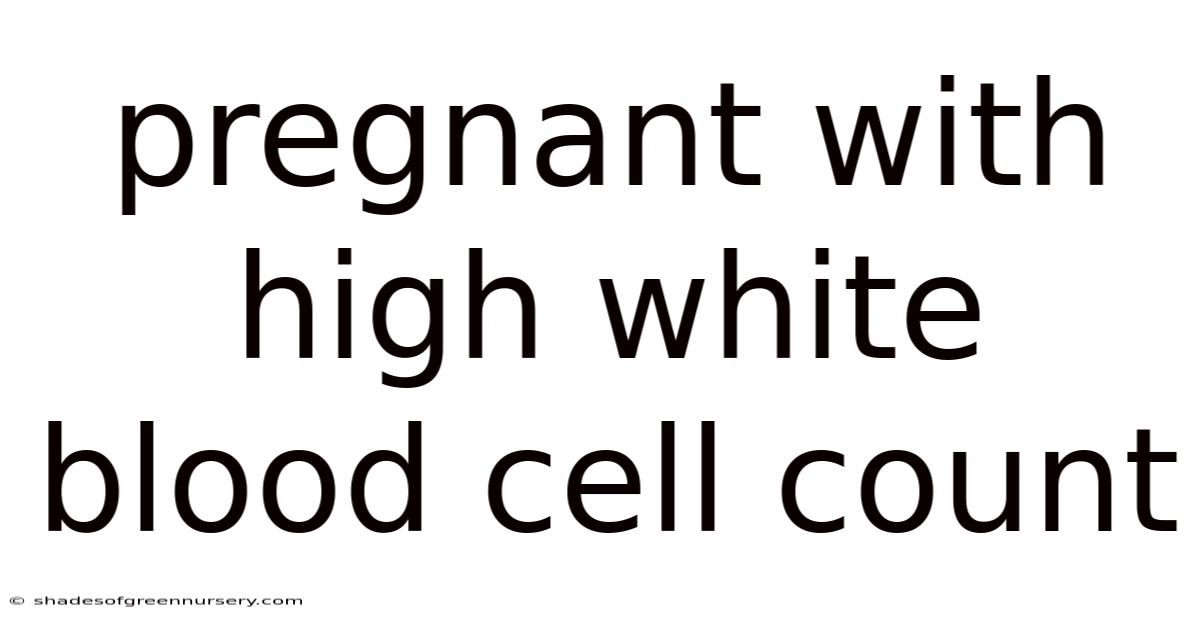 Pregnant With High White Blood Cell Count
