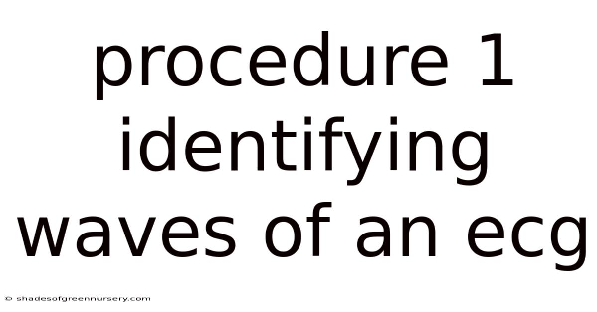 Procedure 1 Identifying Waves Of An Ecg