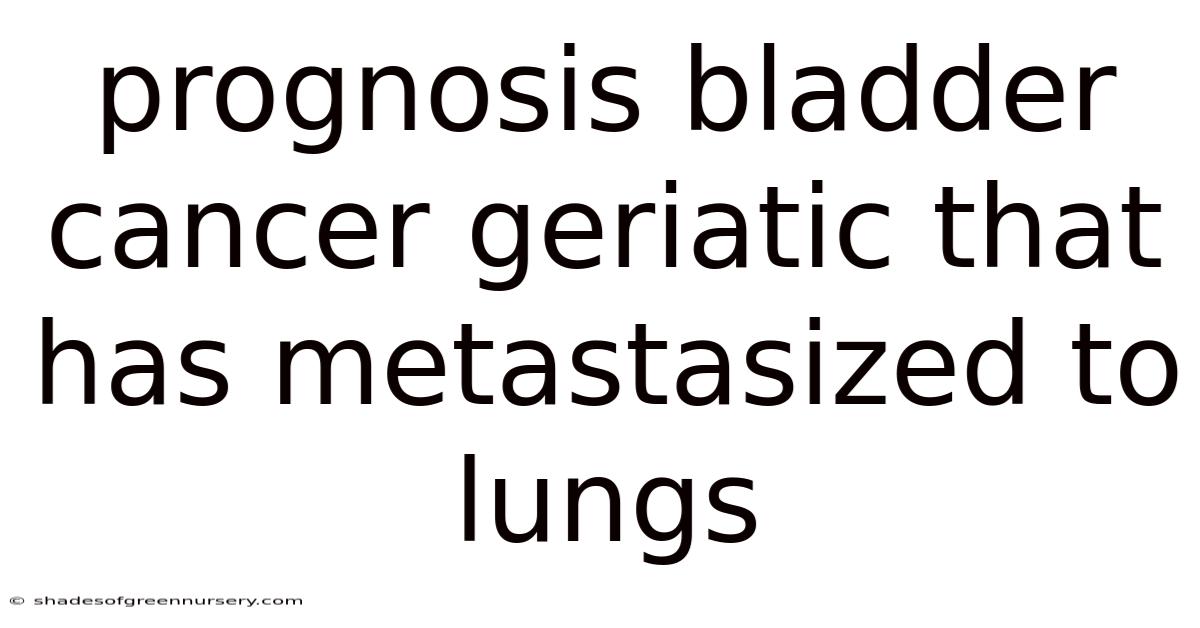 Prognosis Bladder Cancer Geriatic That Has Metastasized To Lungs
