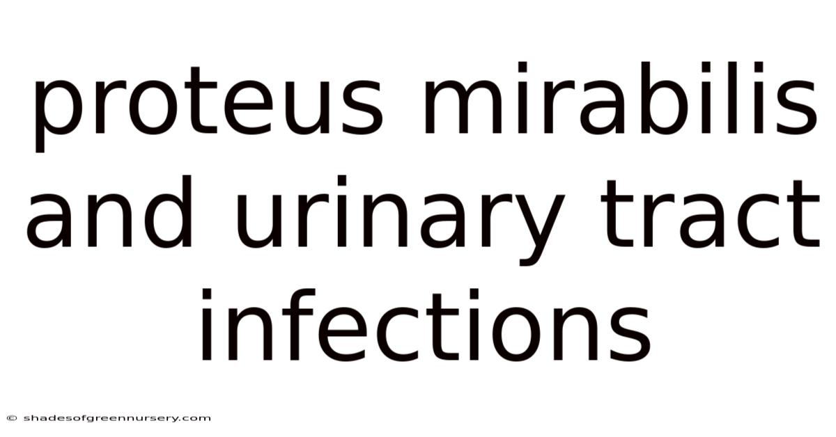 Proteus Mirabilis And Urinary Tract Infections