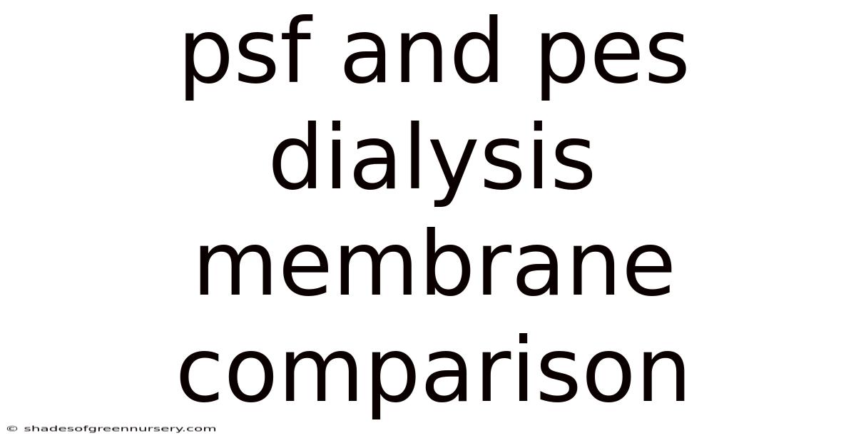 Psf And Pes Dialysis Membrane Comparison