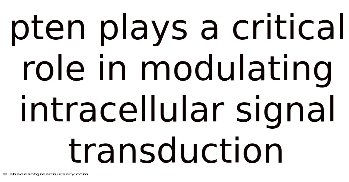 Pten Plays A Critical Role In Modulating Intracellular Signal Transduction